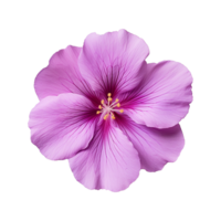 AI generated purple flower isolated on a transparent background png