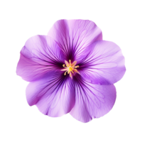 ai gegenereerd Purper bloem geïsoleerd Aan een transparant achtergrond png