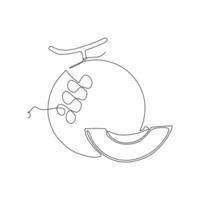 Continuous one line drawing of melon on white background. Vector illustration