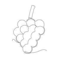 Continuous one line drawing of grapes. Hand drawn vector illustration.