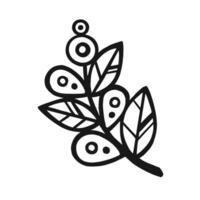 ethnically stylized linear outline branch with buds, vector without color