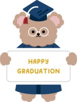 graduación oso dibujos animados personaje linda png