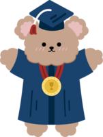 la laurea orso cartone animato personaggio carino png