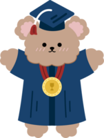 graduação Urso desenho animado personagem fofa png