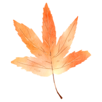 Autumn Watercolor Leaves 3 png