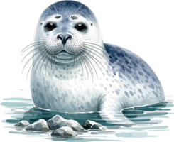 AI generated Harbor seal Watercolor illustration Clipart PNG. You will be able to create your own poster, t-shirts, cards, stickers, mugs, pillows, scrapbooks, artwork, and more Commercial use, png