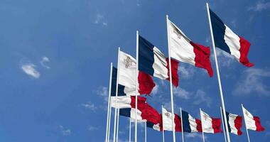 Malta and France Flags Waving Together in the Sky, Seamless Loop in Wind, Space on Left Side for Design or Information, 3D Rendering video