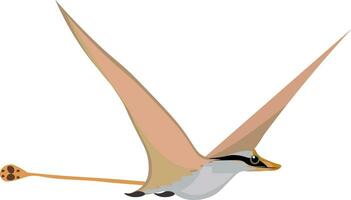 a cartoon bird with long wings and a long tail vector