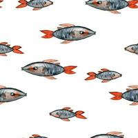 Watercolor drawing seamless pattern from fish with red fins in different sizes on white background, Hand drawn for postcards, photoframes, wrapping paper, textile printing, photo