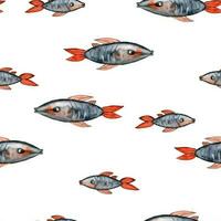 Watercolor drawing seamless pattern from fish with red fins in different sizes on white background, Hand drawn for postcards, photoframes, wrapping paper, textile printing, photo