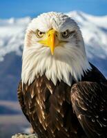 ai generado americano calvo águila en el naturaleza antecedentes foto