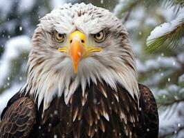 ai generado americano calvo águila en el naturaleza antecedentes foto