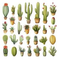 ai generado el cactus conjunto en blanco antecedentes. clipart ilustraciones. ai generado foto