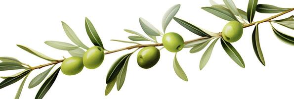 AI generated Olive tree branch, green olives and leaves on white background. AI Generated. photo