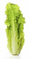 AI generated Lettuce isolated on white background. AI Generated photo