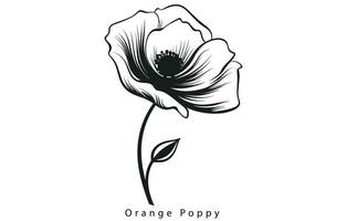 California Poppy, California Poppy Vector, Poppy Flower, Poppies Vector, Pretty Flower Vector, vector