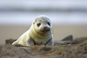 AI generated Harbor seal cub. AI Generated photo