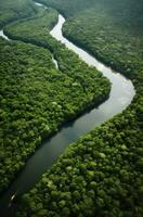 AI generated Aerial view of the Amazonas jungle landscape with river bend. Generative AI photo