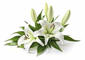 AI generated Beautiful fresh lily flower with green leaves, isolated on white background. AI Generated photo