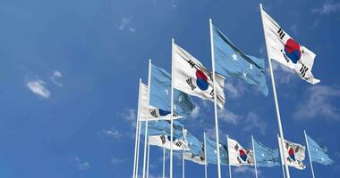 Federated States of Micronesia and South Korea Flags Waving Together in the Sky, Seamless Loop in Wind, Space on Left Side for Design or Information, 3D Rendering video