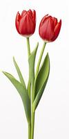 AI generated Red tulips isolated on white background. AI Generated photo