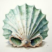 AI generated Watercolor Seashell clipart on white background. AI Generated photo