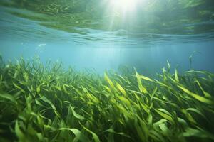 AI generated Underwater view of a group of seabed with green seagrass. AI Generated photo