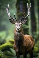 AI generated Close up of red deer stag. AI Generated photo