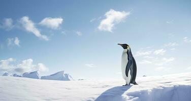 ai generado pingüino en pie en Antártida mirando dentro el azul cielo. ai generado foto