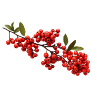 AI generated A red-berry-adorned Christmas garland isolated on transparent background png