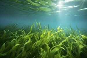 ai generado submarino ver de un grupo de fondo del mar con verde pastos marinos. ai generado foto