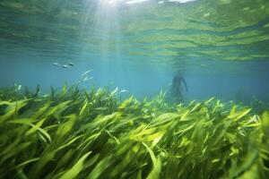AI generated Underwater view of a group of seabed with green seagrass. AI Generated photo