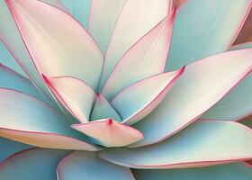 AI generated Agave leaves in trendy pastel colors for design backgrounds. AI Generated photo