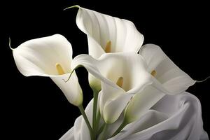 AI generated White wedding nature lily beauty blossom plant flower flora calla. AI Generated photo