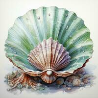 AI generated Watercolor Seashell clipart on white background. AI Generated photo