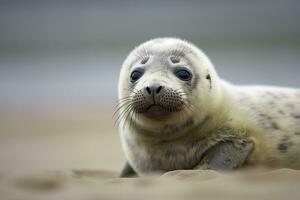 AI generated Harbor seal cub. AI Generated photo