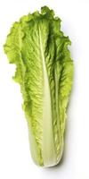 AI generated Lettuce isolated on white background. AI Generated photo