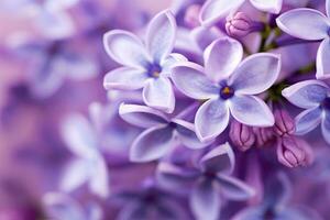 AI generated Lilac blossom macro background with copy space. AI Generated photo