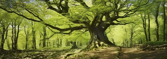 AI generated Angel Oak. AI Generated photo