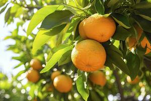 ai generado naranja Fruta en árbol. ai generado foto