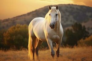 ai generado blanco caballo o yegua en el montañas a puesta de sol. ai generado foto