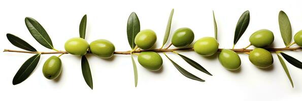 AI generated Olive tree branch, green olives and leaves on white background. AI Generated. photo