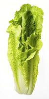 AI generated Lettuce isolated on white background. AI Generated photo