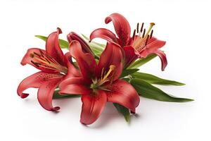 AI generated Red Lilies isolated on white background. AI Generated photo