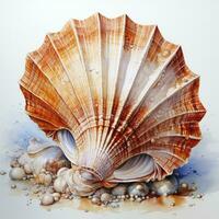 AI generated Watercolor Seashell clipart on white background. AI Generated photo