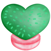 cactus acuarela clipart png