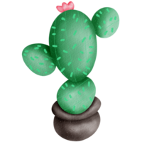 cactus waterverf clip art png