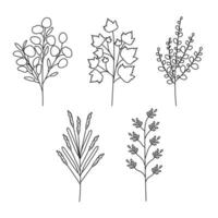 Plants. Twigs with leaves. Isolated plants on white background. vector