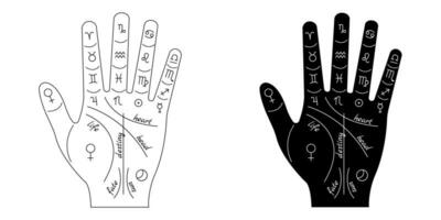 Palmistry and hieromancy. Hand lines and their meanings. Celestial and mystical astrology. Magical vector illustration.