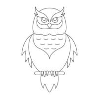 Owl. Isolated owl on white background. vector